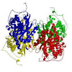 Image of CATH 1ewd