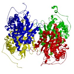 Image of CATH 1ewe