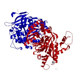 Image of CATH 1ewk