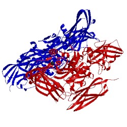 Image of CATH 1ex0