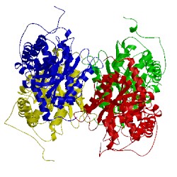 Image of CATH 1ex5