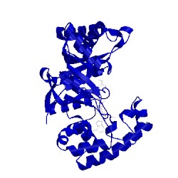 Image of CATH 1exb