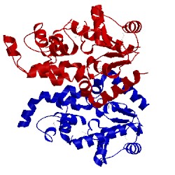 Image of CATH 1exn