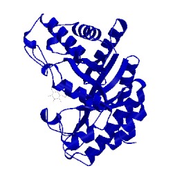 Image of CATH 1exp