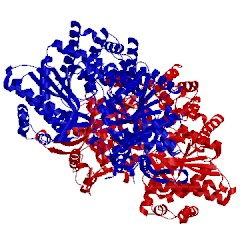 Image of CATH 1exv