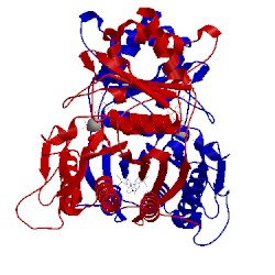 Image of CATH 1eyj