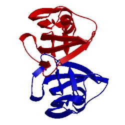 Image of CATH 1eym