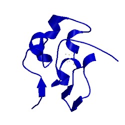 Image of CATH 1eyt