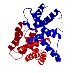 Image of CATH 1eyv