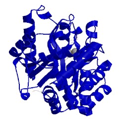 Image of CATH 1eyw