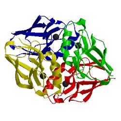 Image of CATH 1ezl