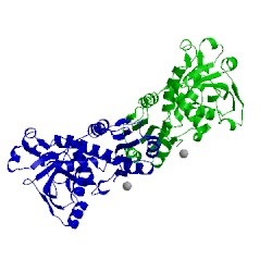 Image of CATH 1ezz