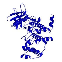 Image of CATH 1f0q