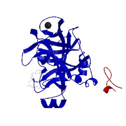 Image of CATH 1f0r