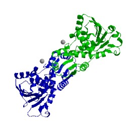 Image of CATH 1f1b