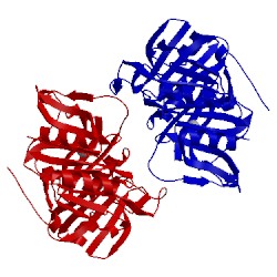 Image of CATH 1f1r