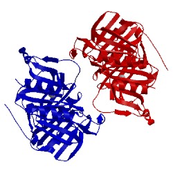 Image of CATH 1f1u