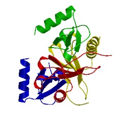 Image of CATH 1f2l