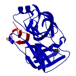 Image of CATH 1f2s