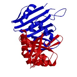 Image of CATH 1f2t