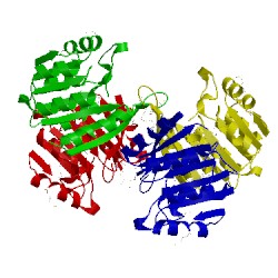 Image of CATH 1f38