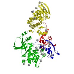 Image of CATH 1f3m
