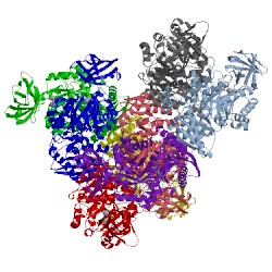 Image of CATH 1f3x