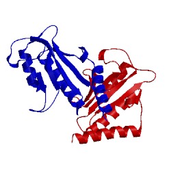Image of CATH 1f46