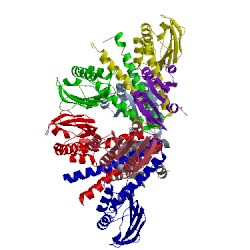 Image of CATH 1f51