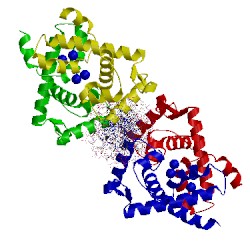 Image of CATH 1f5t