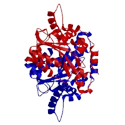 Image of CATH 1f5v