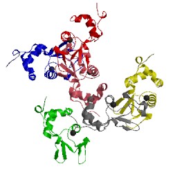 Image of CATH 1f6s