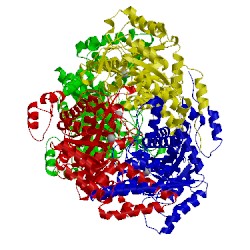 Image of CATH 1f8i