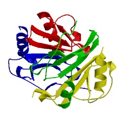 Image of CATH 1f9s