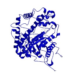 Image of CATH 1fa2