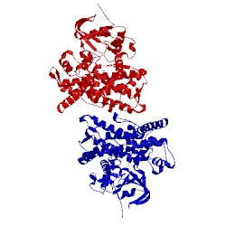 Image of CATH 1fah