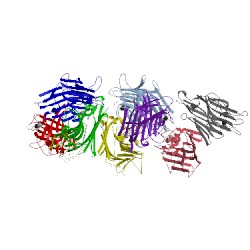 Image of CATH 1fay