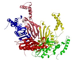 Image of CATH 1fb1