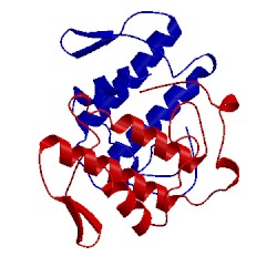 Image of CATH 1fb2