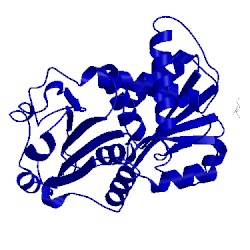 Image of CATH 1fb5