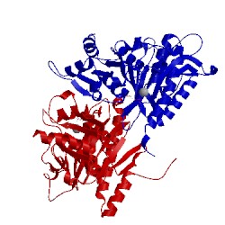 Image of CATH 1fbc