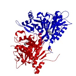 Image of CATH 1fbd