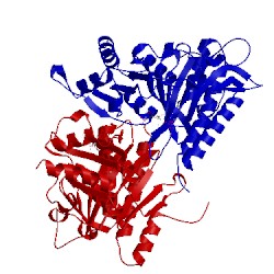 Image of CATH 1fbh