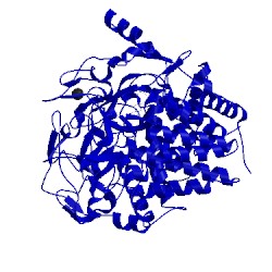 Image of CATH 1fbo