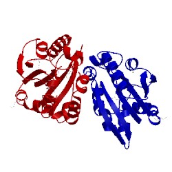 Image of CATH 1fbt