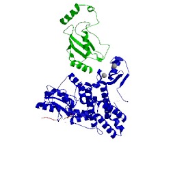 Image of CATH 1fbv