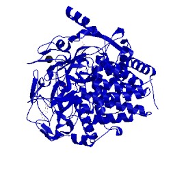 Image of CATH 1fbw