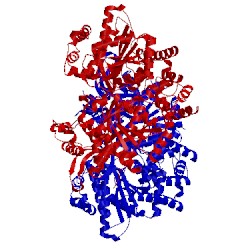 Image of CATH 1fc0