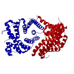 Image of CATH 1fch