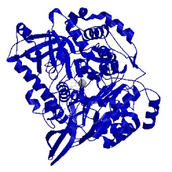 Image of CATH 1fdi